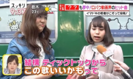 小视频日本,文化魅力与生活百态